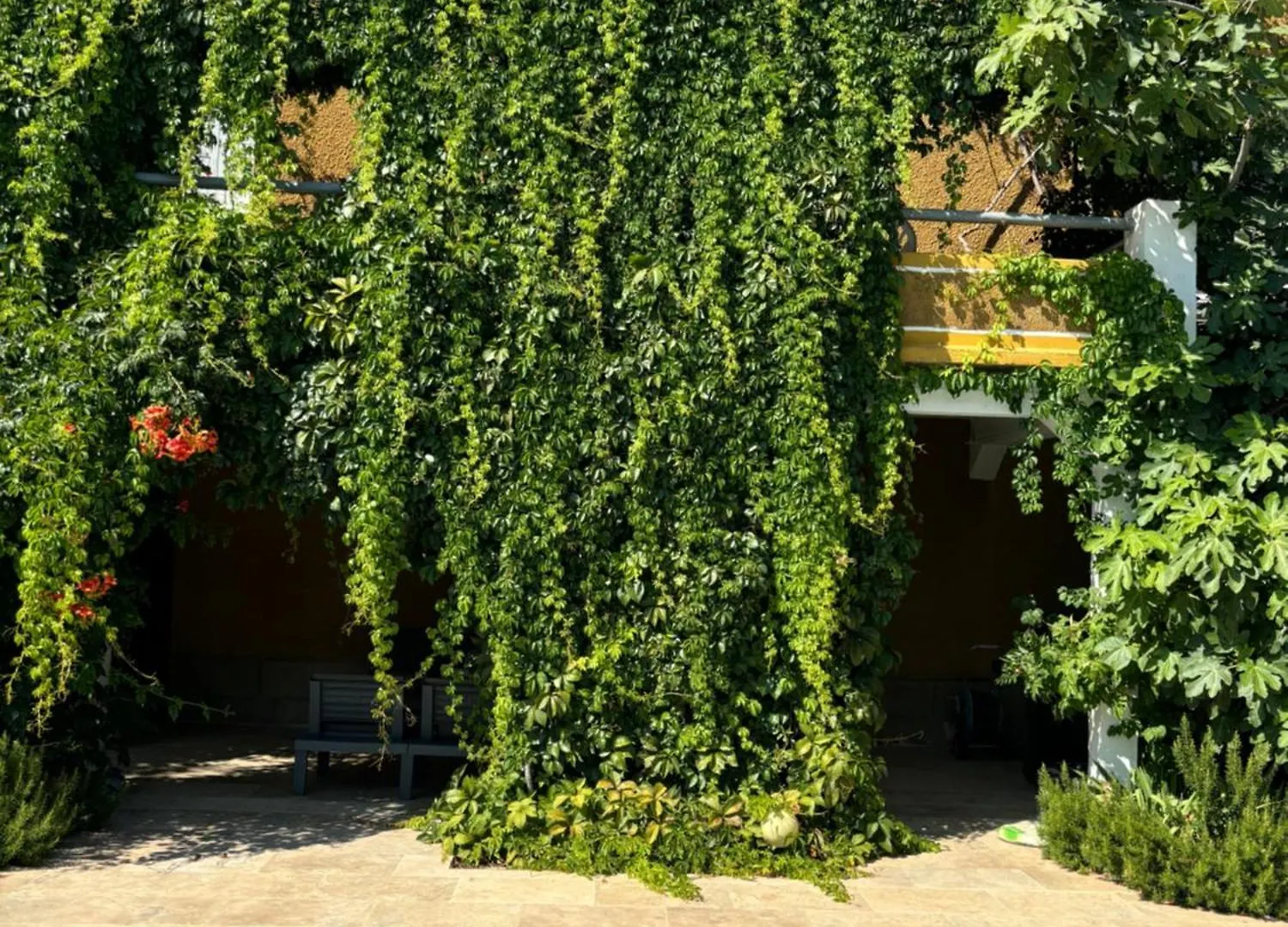 La Cassiopee Bed & Breakfast Caromb
